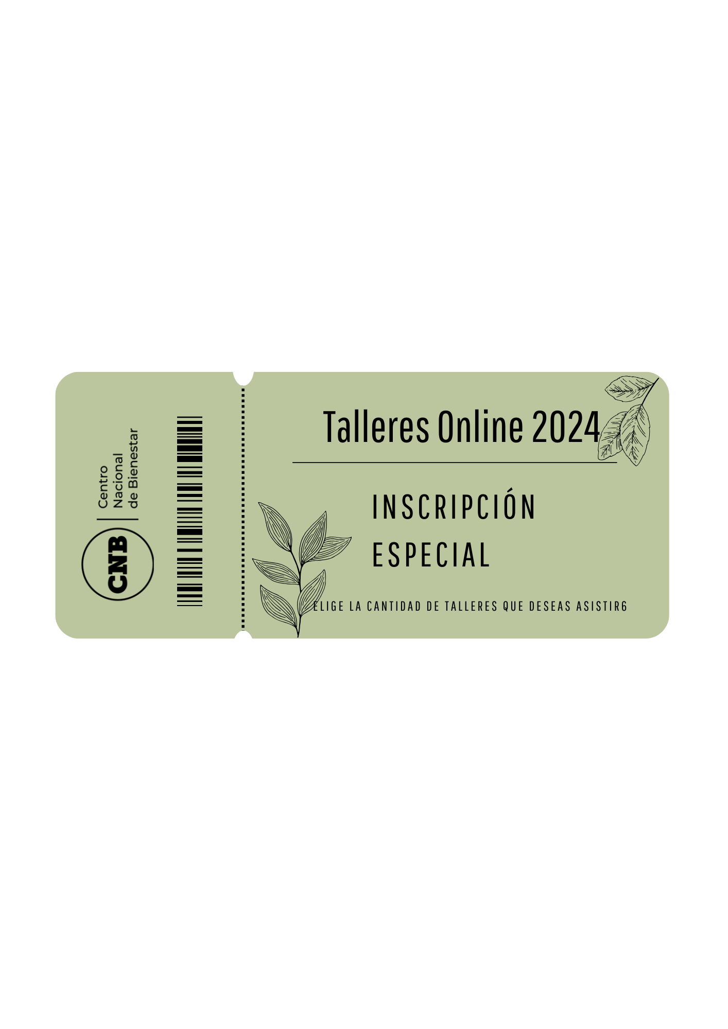 Ticket corto Talleres Online 2024 Inscripción Especial Ticket corto Talleres Online 2024 Inscripción Especial
